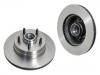 Brake Disc:53002928